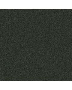 Shaw KENTLAND 12' Jaden Carpet - SH-5C599-00302