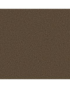 Shaw KENTLAND 12' Montana Carpet - SH-5C599-00714