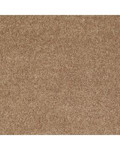 Shaw LARIMORE 15' Cider Carpet - SH-5C607-00202