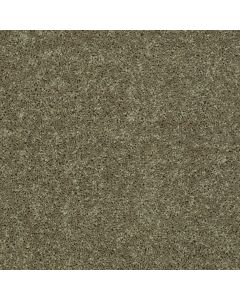 Shaw LARIMORE 15' Aloe Carpet - SH-5C607-00300
