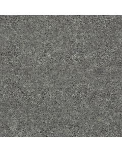Shaw ROYAL PORTRUSH II 15 Ink Spot Carpet - SH-5C610-00501