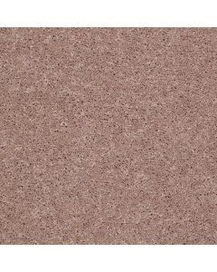 Shaw ROYAL PORTRUSH III 12' Honeycomb Carpet - SH-5C613-00201