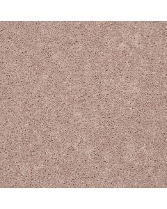 Shaw ROYAL PORTRUSH III 15' Flax Seed Carpet - SH-5C614-00103