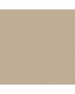 Shaw LIFE'S HIGHWAY 12 (S) Fresco Carpet - SH-5C617-00110