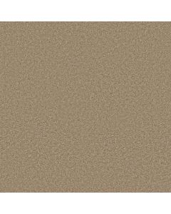 Shaw LIFE'S HIGHWAY 12 (S) Dusty Trail Carpet - SH-5C617-00700