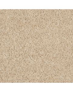 Shaw STORMY SEAS (S) Cashmere Carpet - SH-5C621-00202