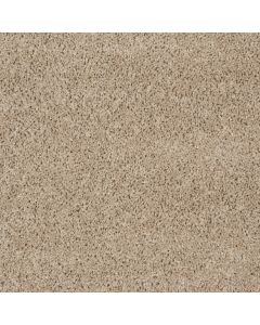 Shaw STORMY SEAS (S) Pebble Carpet - SH-5C621-00710