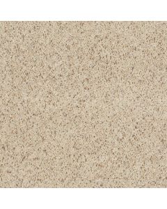 Shaw STORMY SEAS (B) Misty Mica Carpet - SH-5C622-00160