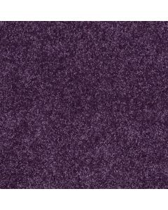 Shaw KID CRAZY Grape Jelly Carpet - SH-5C654-00931