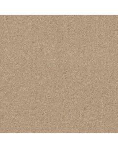Shaw LUXURY BAY I Mesa Carpet - SH-5C669-00105