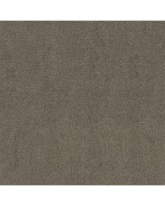 Shaw LUXURY BAY I Grey Flannel Carpet - SH-5C669-00501