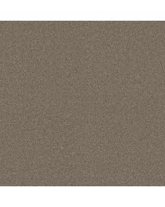 Shaw LUXURY BAY I Smooth Slate Carpet - SH-5C669-00704