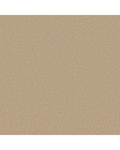 Shaw LUXURY BAY III Mesa Carpet - SH-5C671-00105