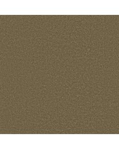 Shaw LUXURY BAY III Bonsai Carpet - SH-5C671-00324