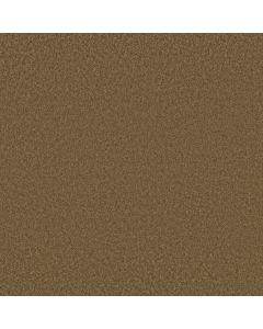 Shaw LUXURY BAY III Cabin Carpet - SH-5C671-00726