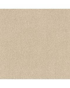 Shaw BEST BASICS Winter White Carpet - SH-5C728-00100