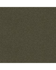 Shaw BEST BASICS Garden Retreat Carpet - SH-5C728-00311