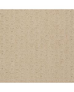 Shaw PROPEL Linen Carpet - SH-5C733-00101