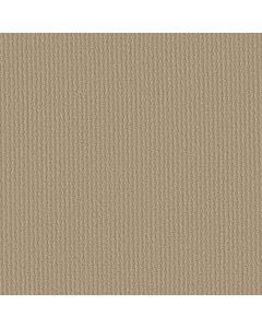 Shaw PROPEL Dunes Carpet - SH-5C733-00102