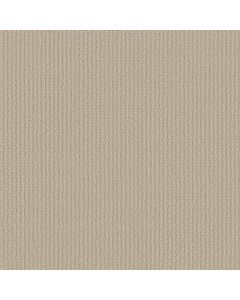 Shaw PROPEL Canvas Carpet - SH-5C733-00103