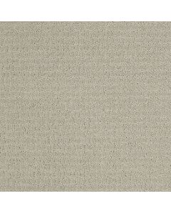 Shaw PROPEL Cold Water Carpet - SH-5C733-00510