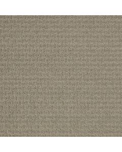Shaw PROPEL Gray Flannel Carpet - SH-5C733-00511