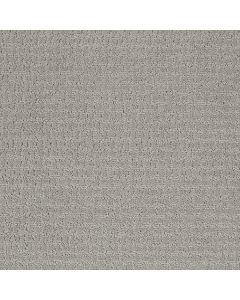 Shaw PROPEL Sea Salt Carpet - SH-5C733-00512