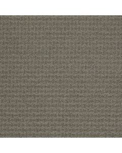 Shaw PROPEL Pewter Carpet - SH-5C733-00513