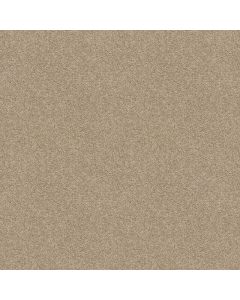 Shaw BEAUTIFULLY SIMPLE I 12 Agate Carpet - SH-5C746-00102