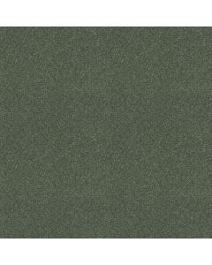 Shaw BEAUTIFULLY SIMPLE I 12 Spring Leaf Carpet - SH-5C746-00300