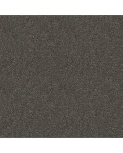 Shaw BEAUTIFULLY SIMPLE I 12 Charcoal Carpet - SH-5C746-00504