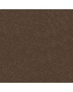 Shaw BEAUTIFULLY SIMPLE I 12 Briar Patch Carpet - SH-5C746-00703