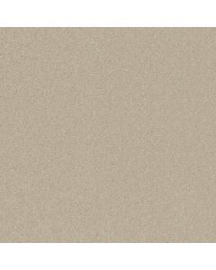 Shaw BEAUTIFULLY SIMPLE I 15' Creamy Tint Carpet - SH-5C751-00101