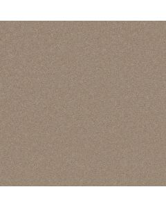 Shaw BEAUTIFULLY SIMPLE I 15' Sandy Nook Carpet - SH-5C751-00104