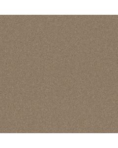 Shaw BEAUTIFULLY SIMPLE I 15' Honeycomb Carpet - SH-5C751-00200