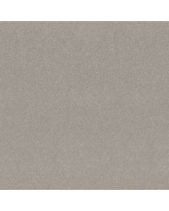 Shaw BEAUTIFULLY SIMPLE I 15' Sheer Silver Carpet - SH-5C751-00500