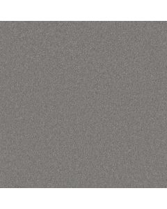 Shaw BEAUTIFULLY SIMPLE I 15' Nickel Carpet - SH-5C751-00502