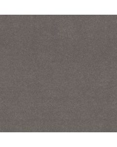 Shaw BEAUTIFULLY SIMPLE I 15' Thunder Carpet - SH-5C751-00503