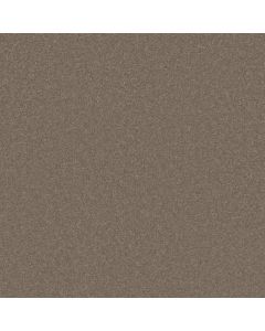 Shaw BEAUTIFULLY SIMPLE I 15' Mocha Frost Carpet - SH-5C751-00702