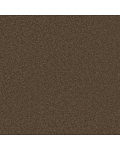 Shaw BEAUTIFULLY SIMPLE I 15' Briar Patch Carpet - SH-5C751-00703