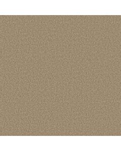 Shaw MY DESTINATION I Clay Stone Carpet - SH-5C775-00108