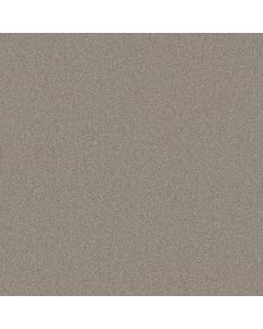 Shaw MY DESTINATION I Textured Canvas Carpet - SH-5C775-00150