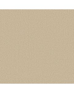 Shaw MY DESTINATION III Candlewick Glow Carpet - SH-5C777-00101