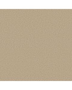 Shaw MY DESTINATION III French Linen Carpet - SH-5C777-00103
