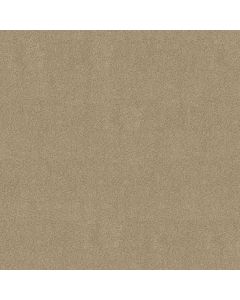 Shaw MY DESTINATION III Beach Walk Carpet - SH-5C777-00126