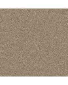 Shaw MY DESTINATION III Latta Carpet - SH-5C777-00152
