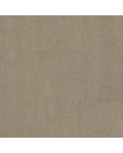Shaw MY DESTINATION III Natural Carpet - SH-5C777-00153