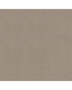 Shaw MY DESTINATION III Glaze Carpet - SH-5C777-00154