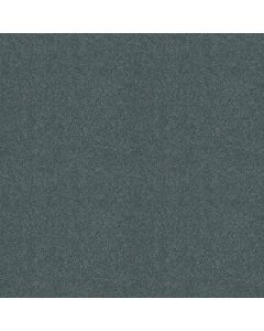 Shaw MY DESTINATION III Old Blue Eyes Carpet - SH-5C777-00450