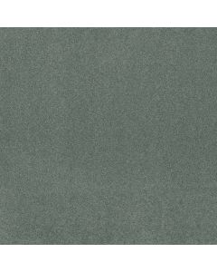 Shaw MY DESTINATION III Stained Glass Carpet - SH-5C777-00452